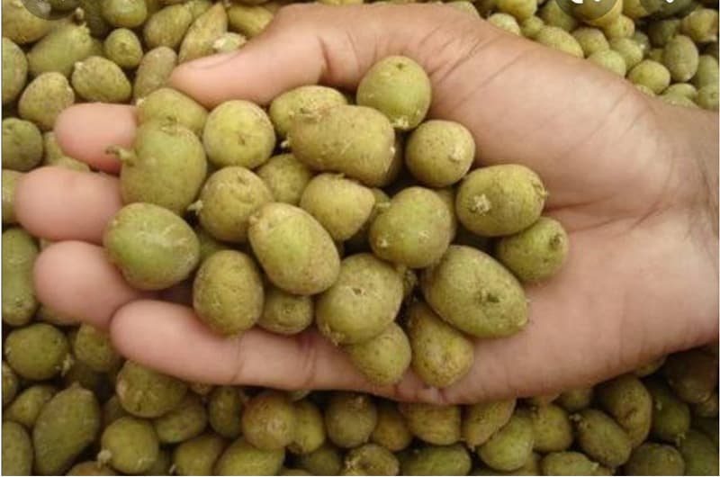 images/1657699543901potato grader.jpg